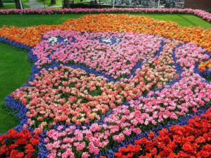 Flower Installation. Discover the real Amsterdam - day 2