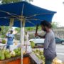 Barbados coconut cutting - The Scent Explorer