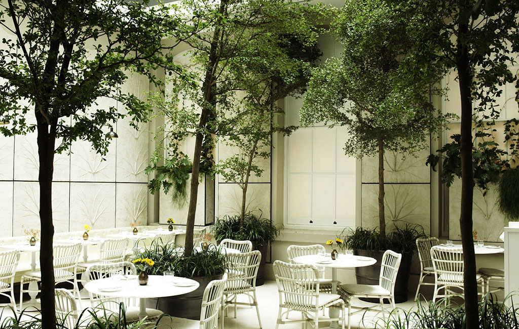 Spring private dining - The Scent Explorer